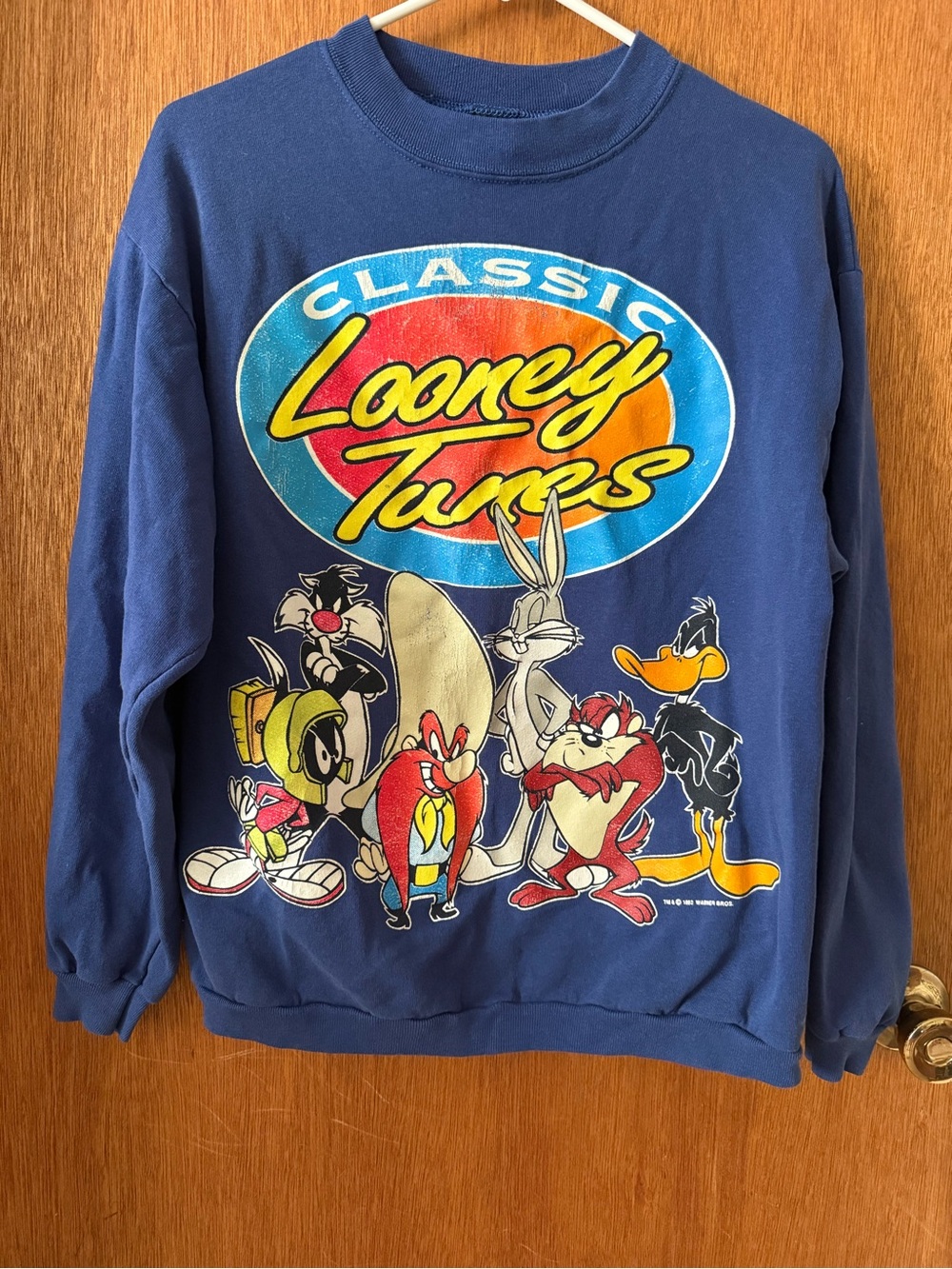 1993 Warner Bros. Navy Crewneck Sweatshirt with Multicolor Looney Tunes Logo